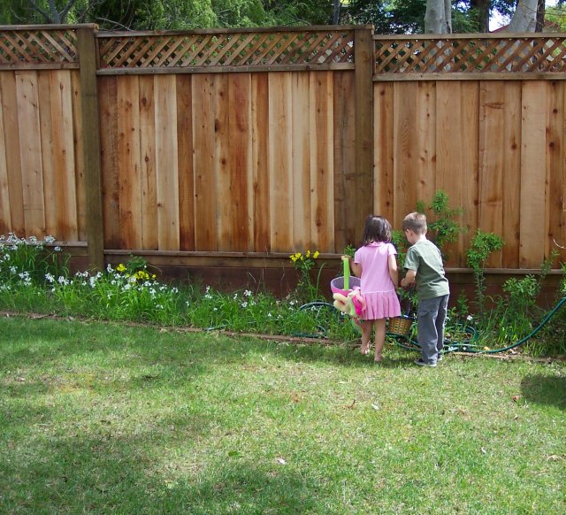 145903903_2007-04-22_6501