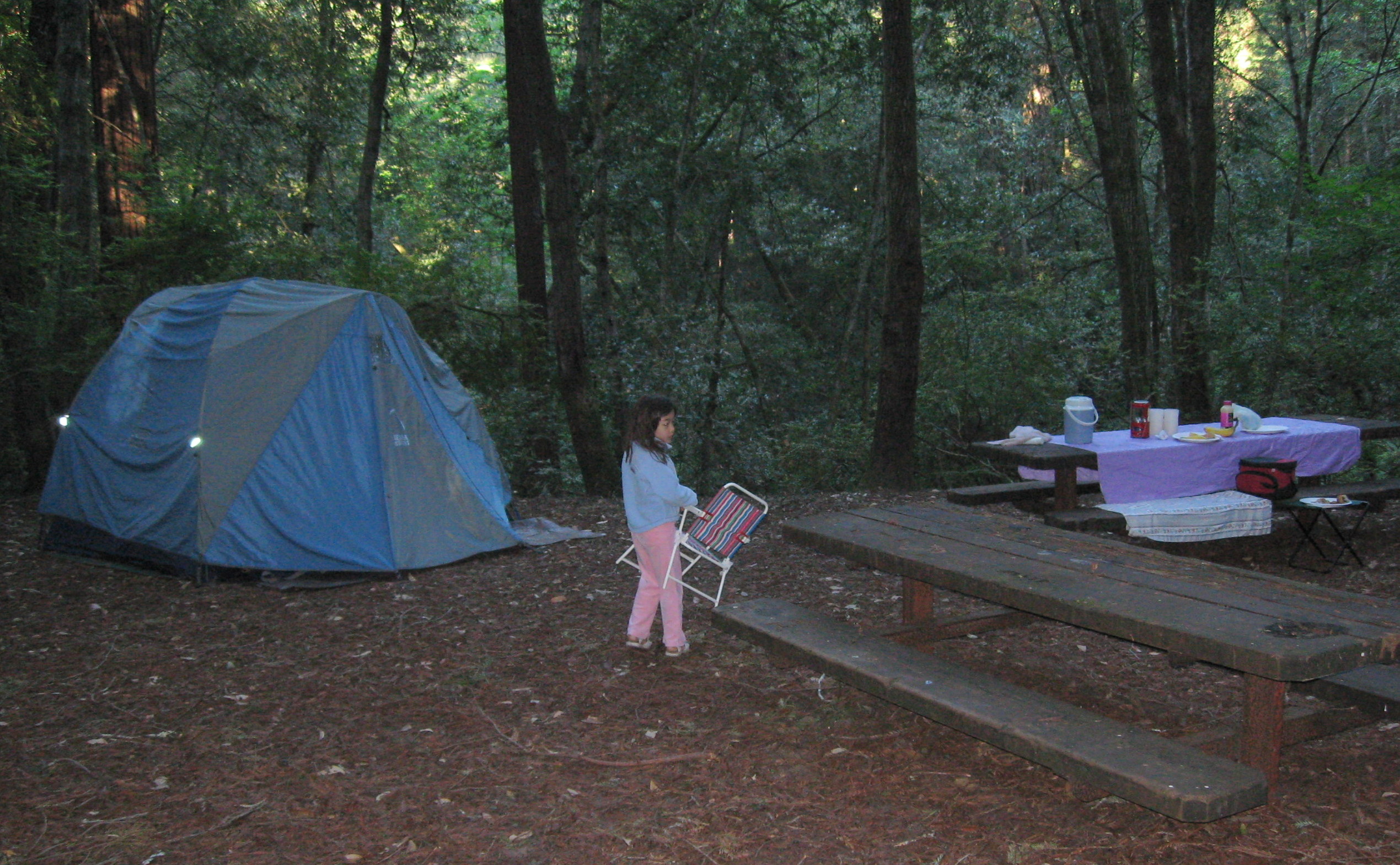 316542195_20080517_017