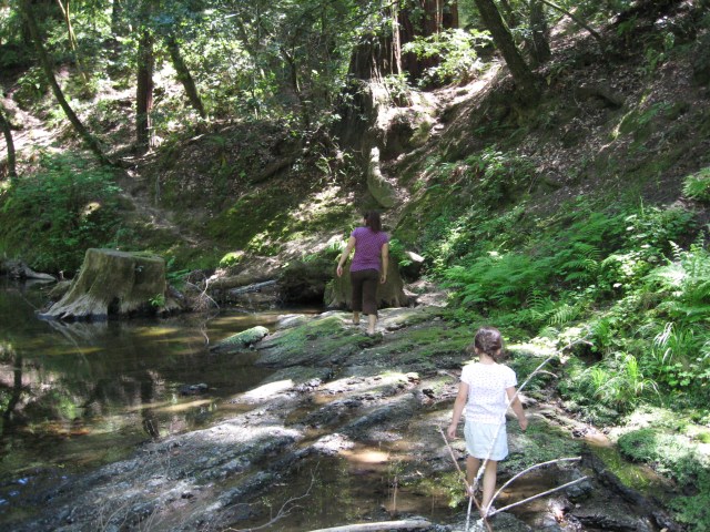 316546711_20080517_069