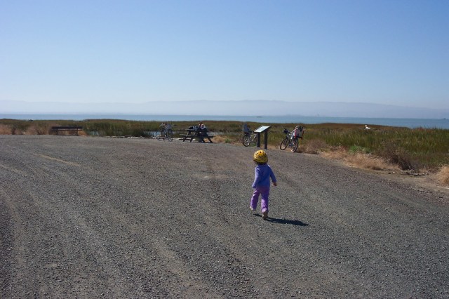 38201223_2005-10-01_4165