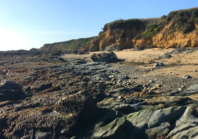 2018-04-01 17.05.53.jpg