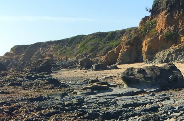 2018-04-01 17 (1).05.53.jpg