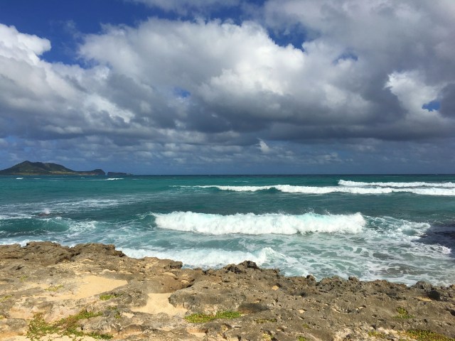 2019-01-04 11.10.47.jpg